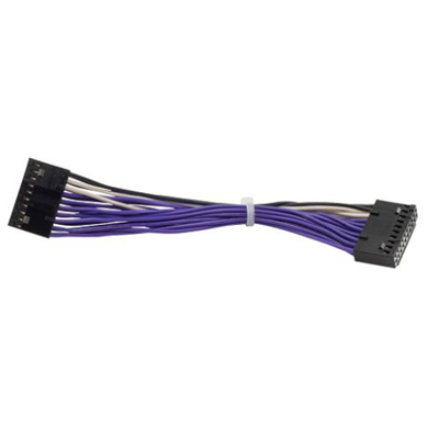 Cable 20 Pin